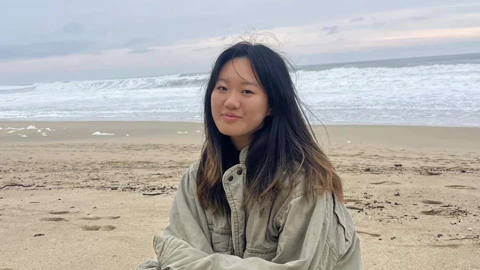 Undergraduate Researcher in the Robert Prins Lab