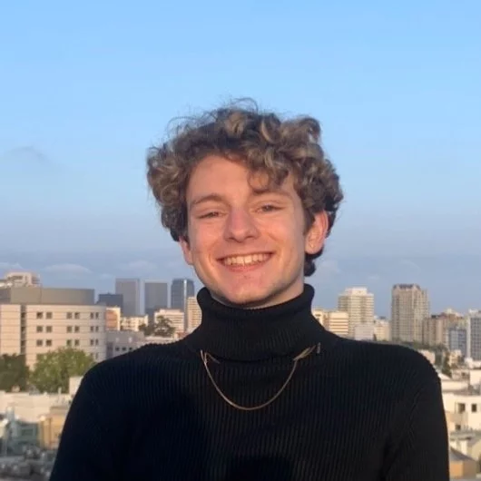 Undergraduate Researcher in the Robert Prins Lab