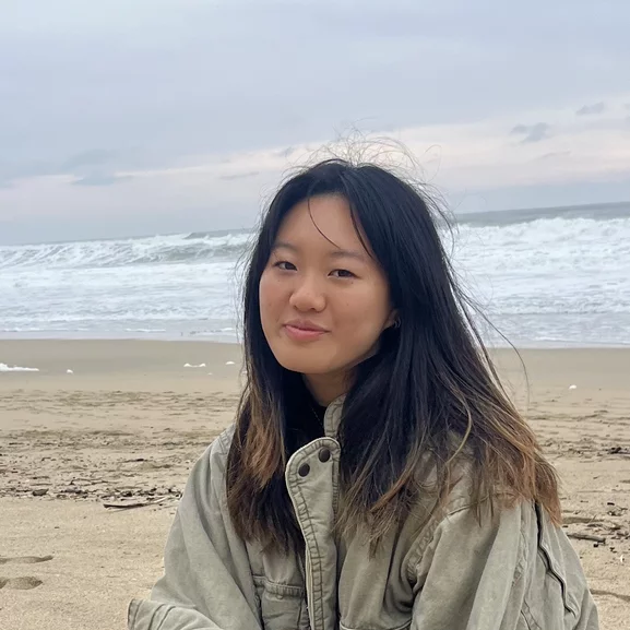 Undergraduate Researcher in the Robert Prins Lab